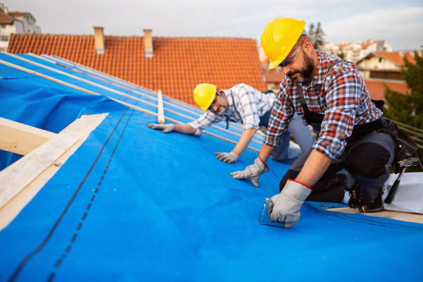 Best Roof Waterproofing Services  in Stockton University, NJ