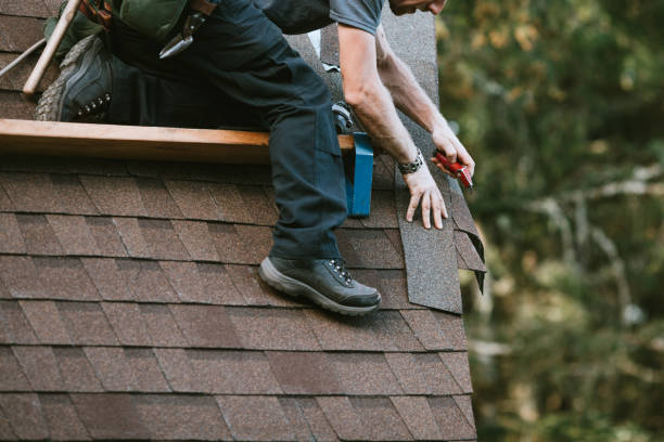 Quick and Trustworthy Emergency Roof Repair Services in Stockton University, NJ